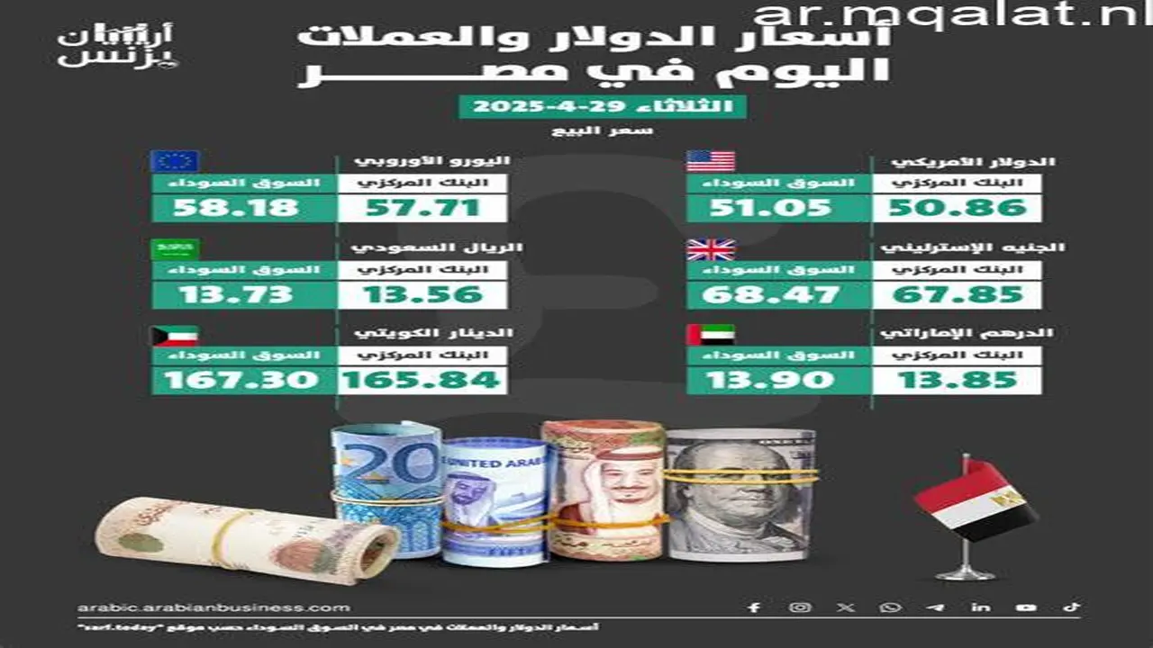 أسعار العملات في مصر تسجل 51.93 جنيه للشراء اليوم